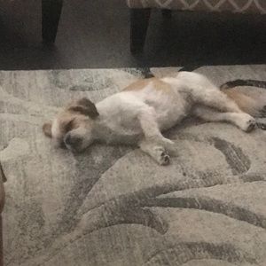 Meet your Posher, Heather